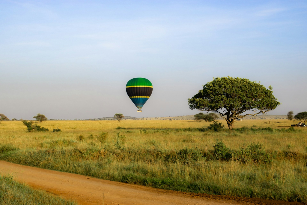 Hot Air Balloon Safari