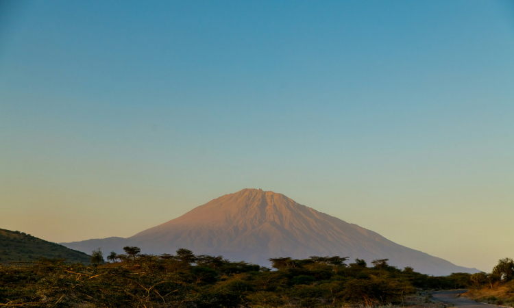 Arusha City Tanzania Travel Guide & Overview