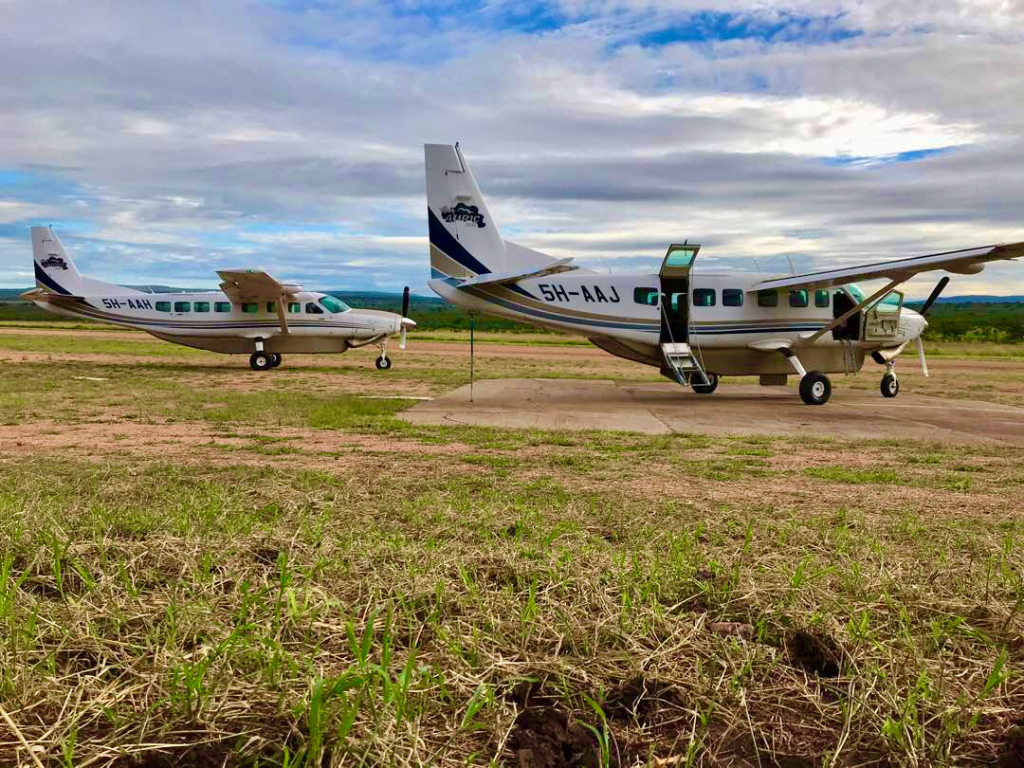 Auric Air Serengeti National Park Flights Guide