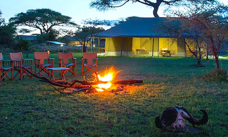 Best Budget Lodges in Serengeti