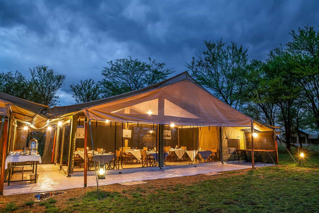 Budget & Standard Accommodation in Serengeti National Park