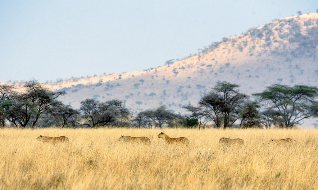 Eastern Region of Serengeti National Park