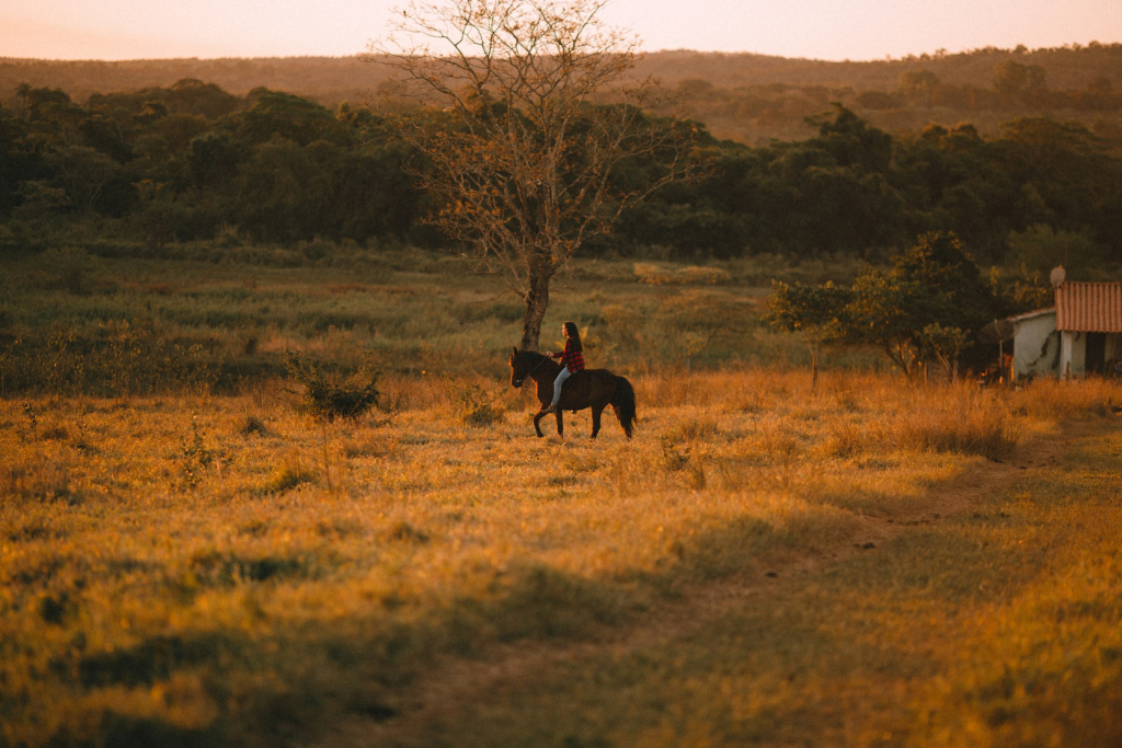 Explore wildlife on horseback