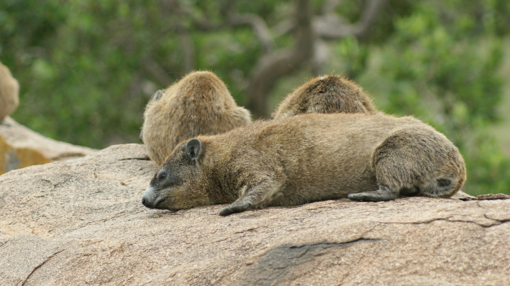 Hills, Rivers & Rock Formations