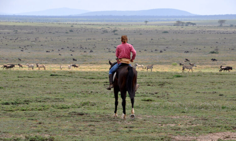 Horseback Riding Safaris in Serengeti