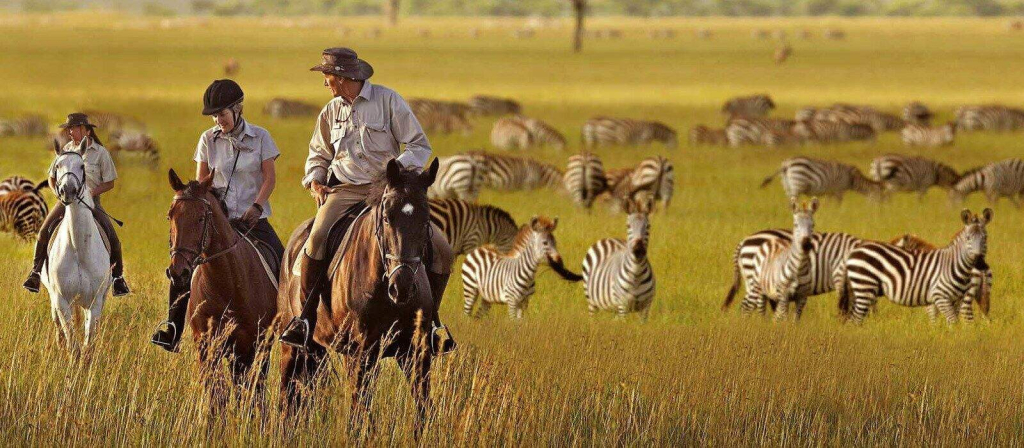 Horseback Riding in Serengeti National Park Safari Experience