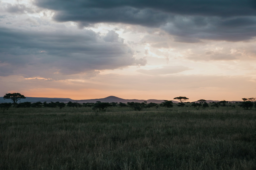 Malaria in Serengeti National Park & How to Stay Safe