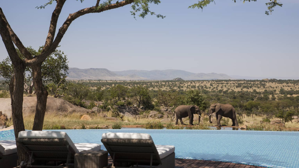 Ruwana Plains in Serengeti National Park