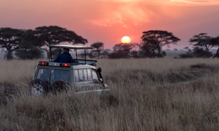 Self drive safaris to Serengeti