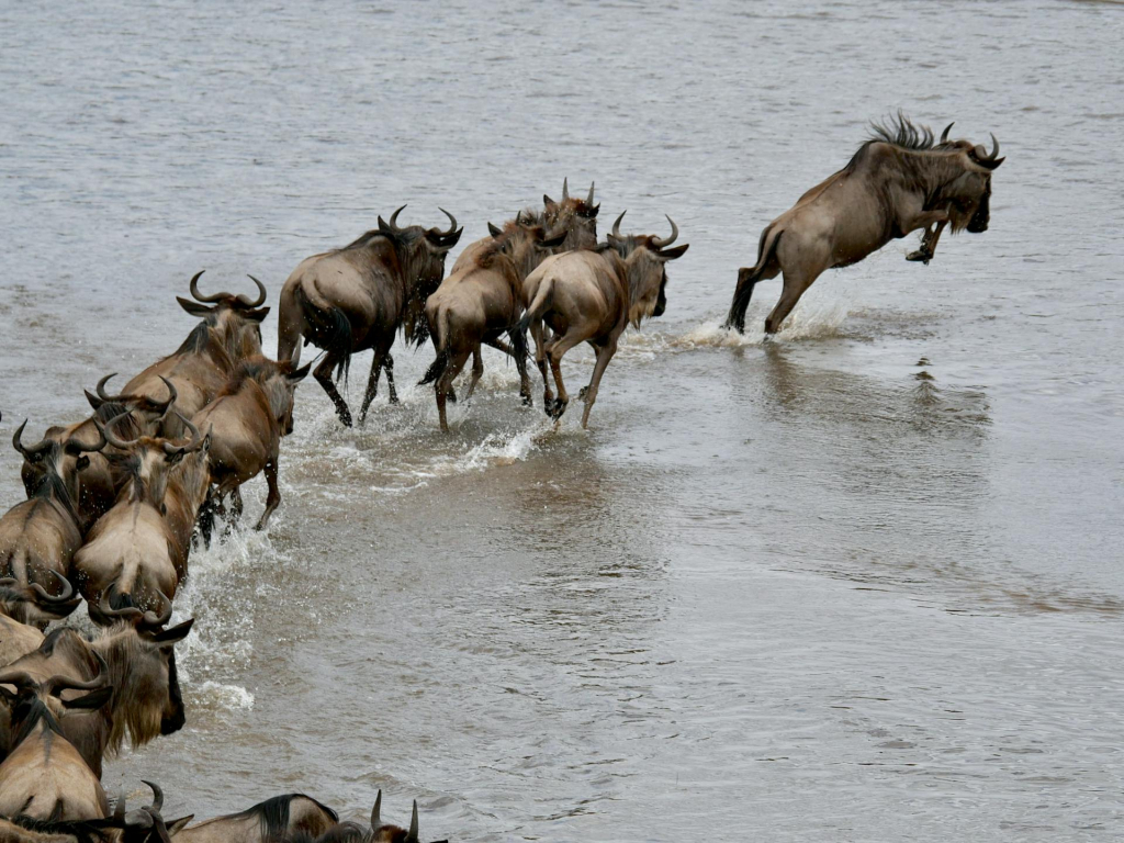 Serengeti Hidden Valley in Serengeti National Park