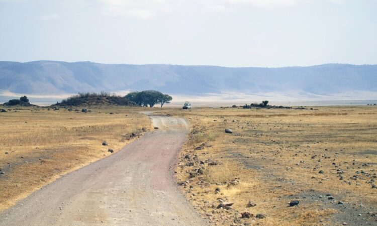 Serengeti in December