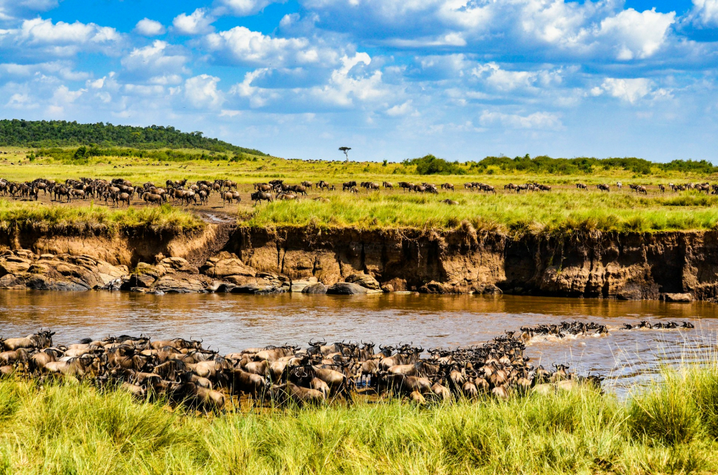 Seronera River in Serengeti National Park, Tanzania