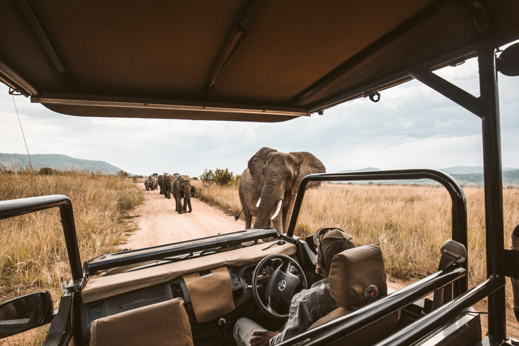 Tipping safari guides
