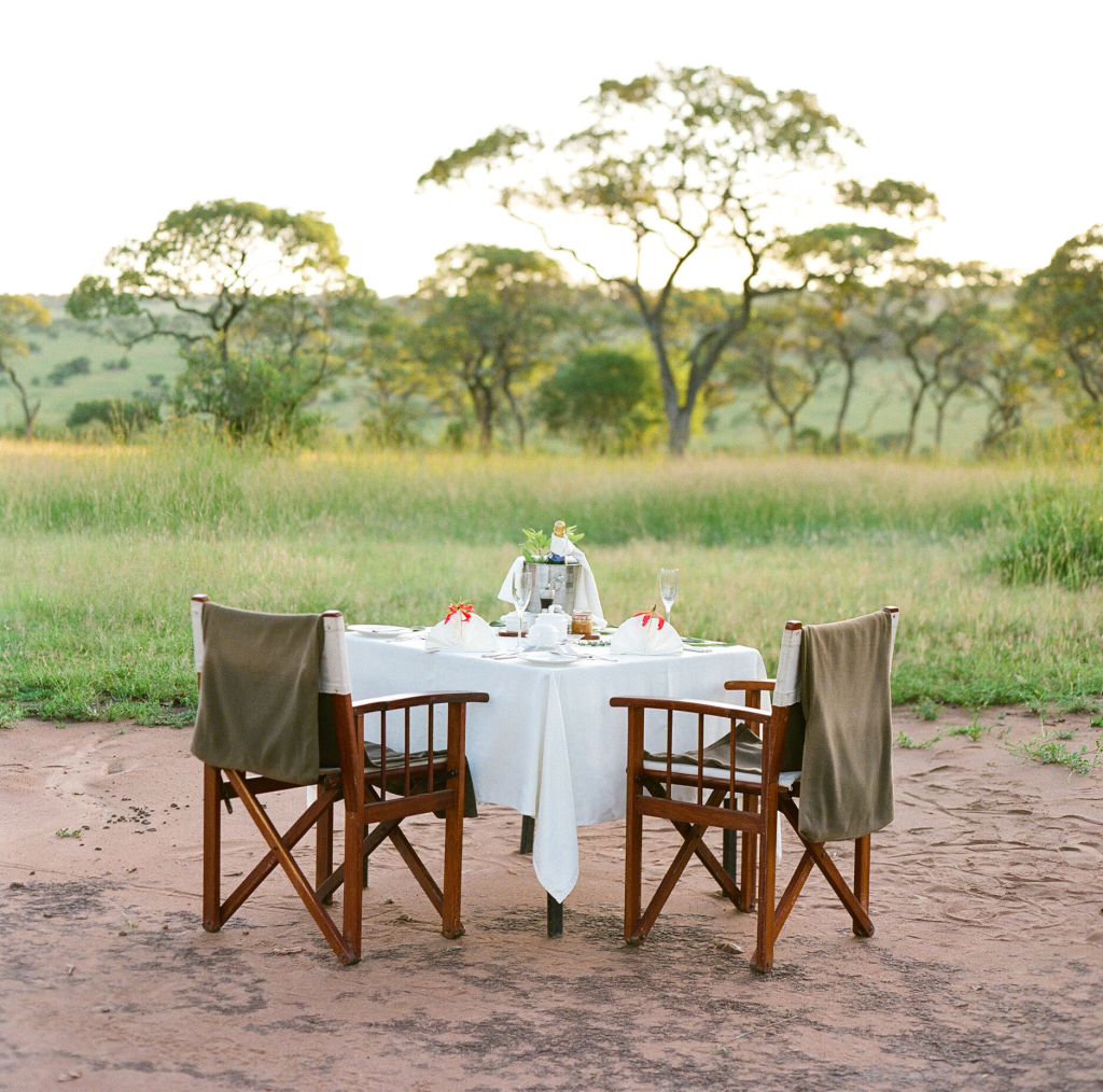 Unforgettable Bush Breakfast Experience in Serengeti