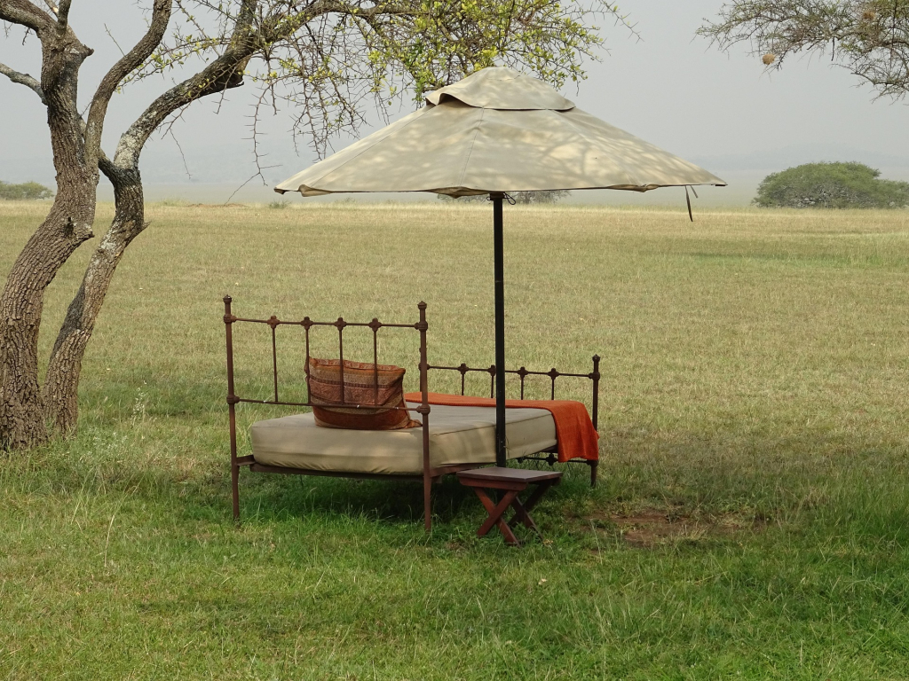 Upper Grumeti Woodlands in Serengeti National Park